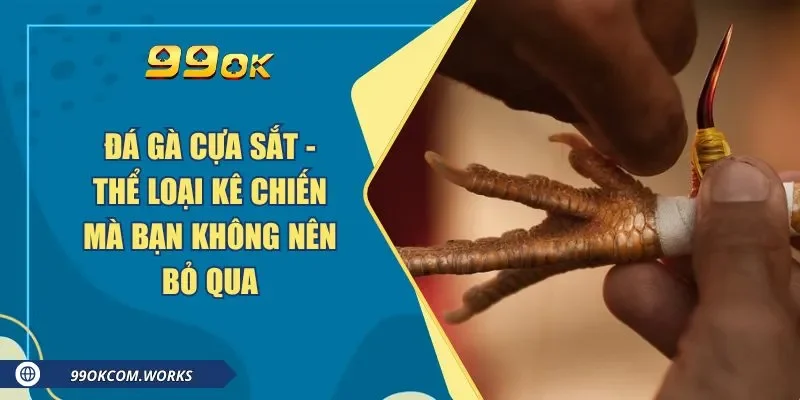 Đá Gà Cựa Sắt - Thể Loại Kê Chiến Mà Bạn Không Nên Bỏ Qua