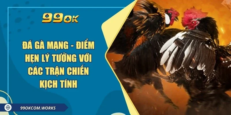 Đá Gà Mạng - Điểm Hẹn Lý Tưởng Với Các Trận Chiến Kịch Tính